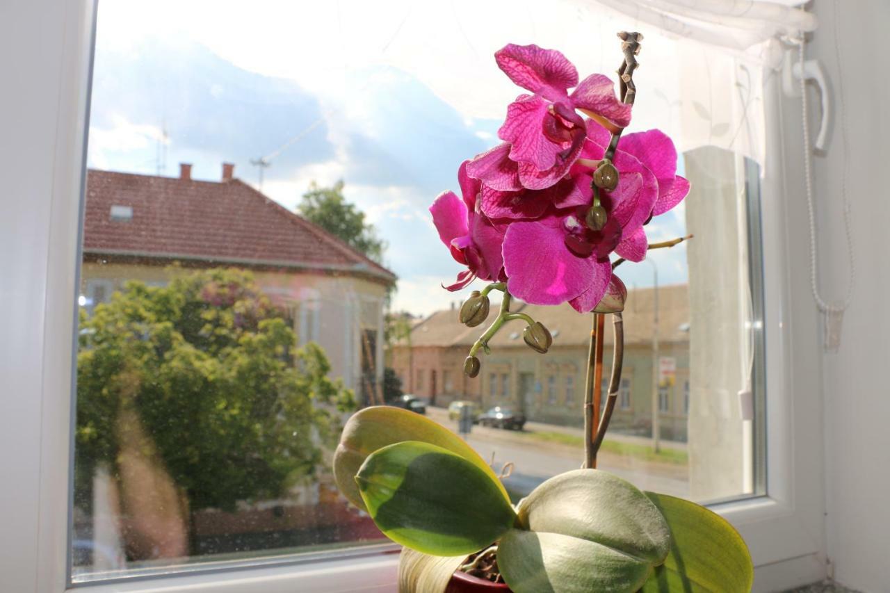 Apartmán Luma 1 Osijek Exteriér fotografie